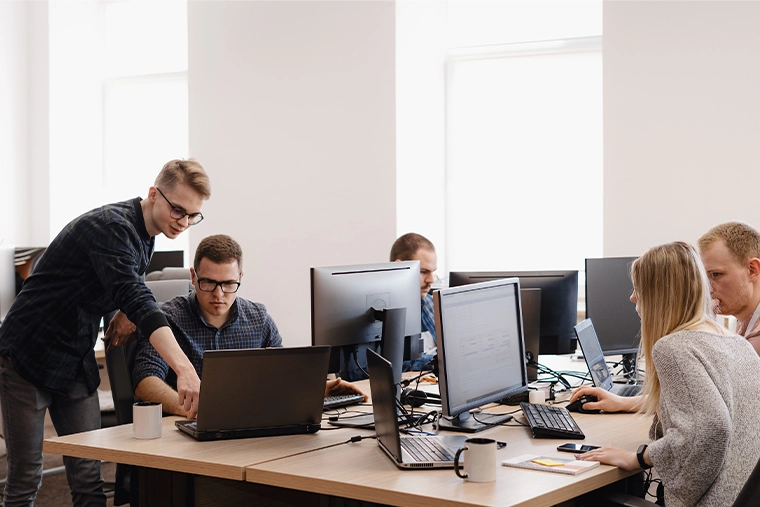 MLM Software Developers