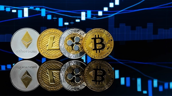 Kryptowährung MLM Software