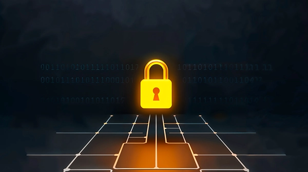 Integrazione E-PIN nel Software MLM