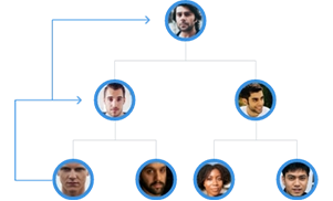 MLM Gift Plan Software Demo