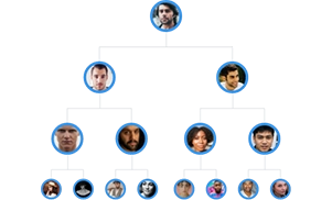 Australian MLM Binary Software Demo