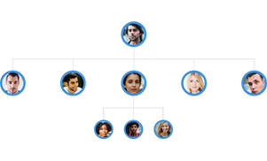 Investment MLM Plan Software Demo