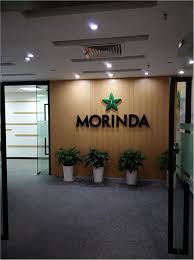 morinda