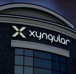 xyngular